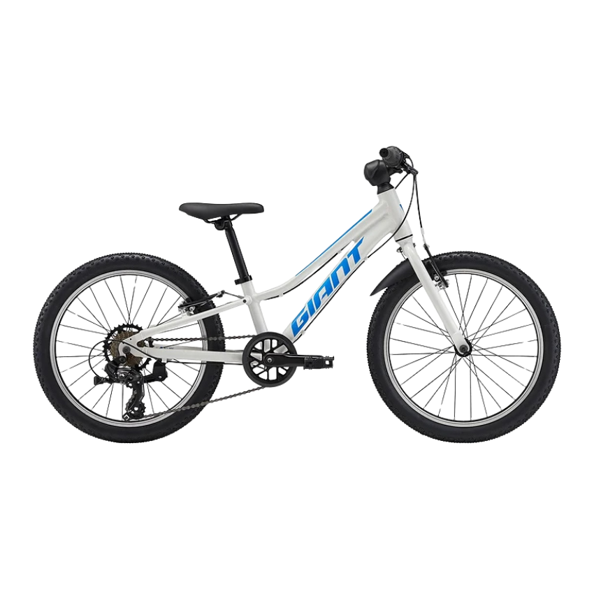 Giant Talon 20 Lite Youth Mountain Bike
